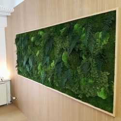 gamme-bolmoss-moss-green